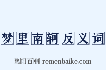 梦里南轲反义词是什么意思的图片